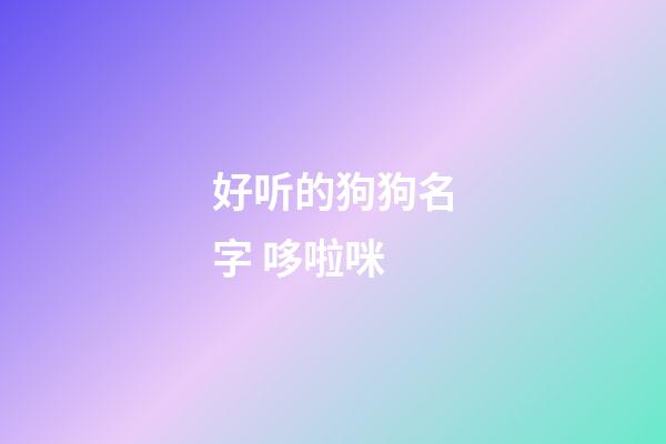 好听的狗狗名字 哆啦咪